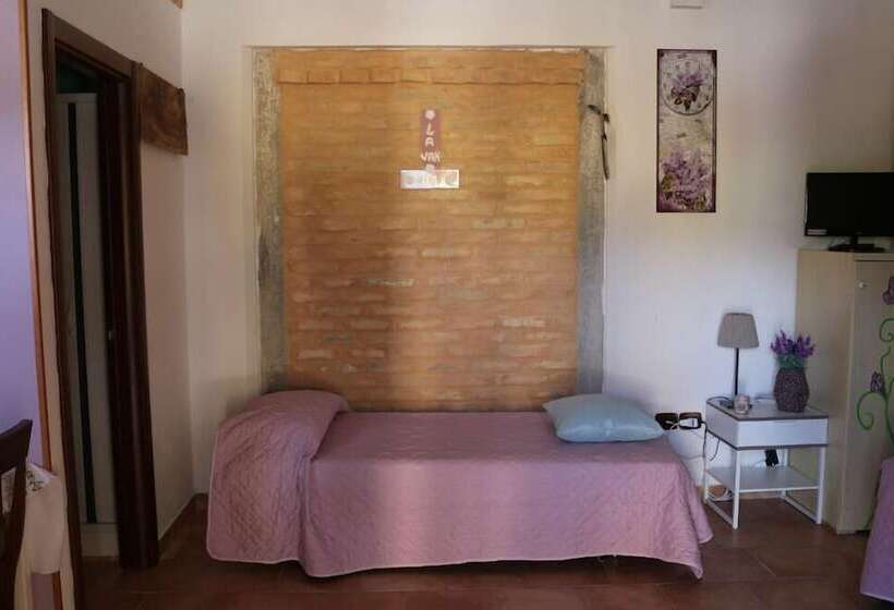 プールビュースタンダードステューディオ, Agriturismo Fattoria Del Colle