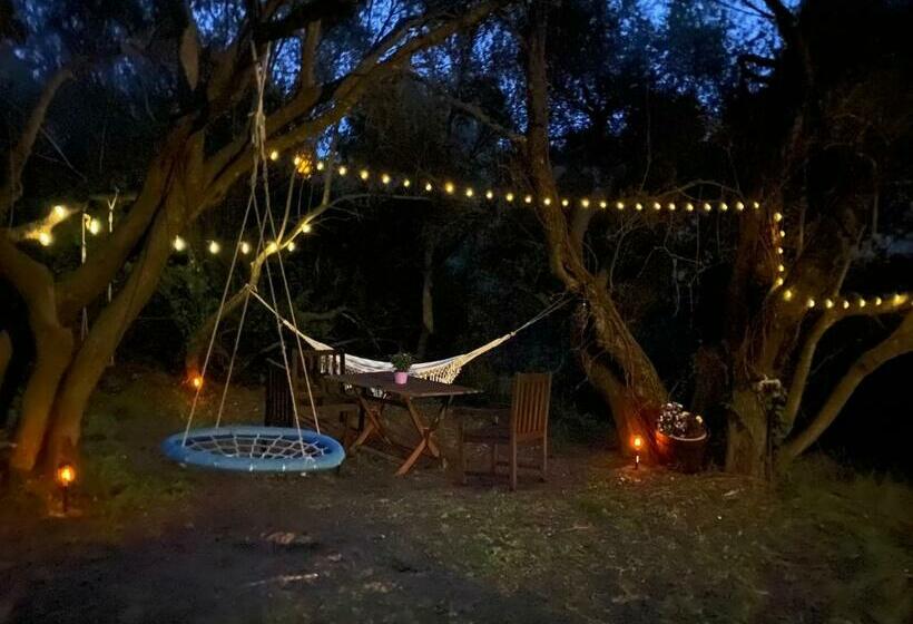 غرفة ديلوكس, Agriturismo Lu Branu