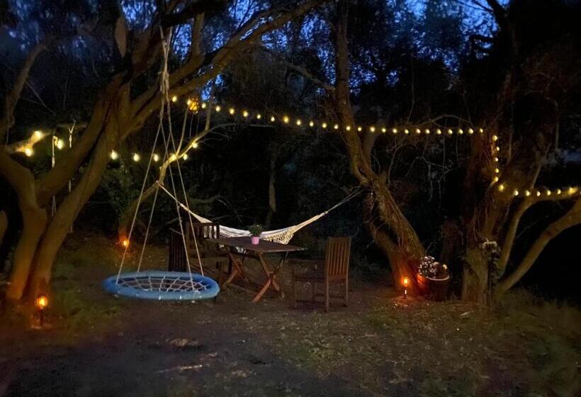 חדר סטנדרט, Agriturismo Lu Branu