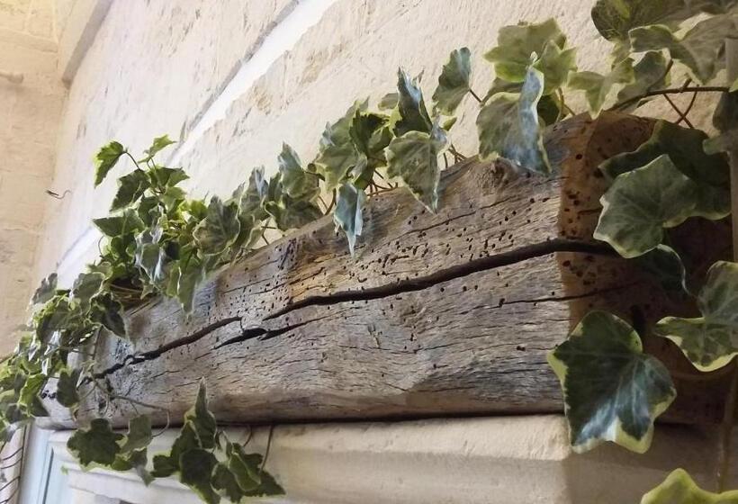 Номер Стандарт, B&b C Era Una Volta