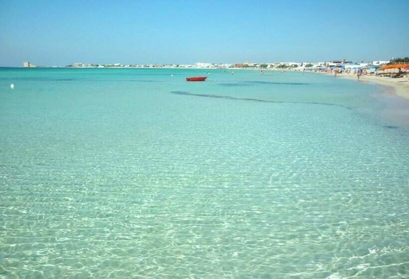 침실 1개 아파트, Torreblu Residence