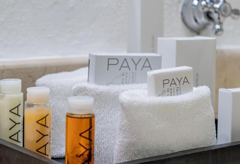 디럭스 룸 가든 전망, Desire Riviera Maya Resort All Inclusive   Couples Only