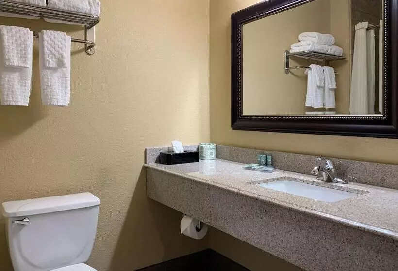 اتاق استاندارد با تخت بزرگ, Comfort Inn Saint Paul East