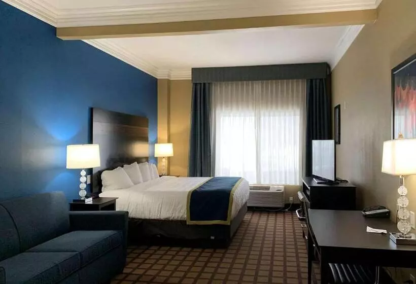 اتاق استاندارد با تخت بزرگ, Comfort Inn Saint Paul East