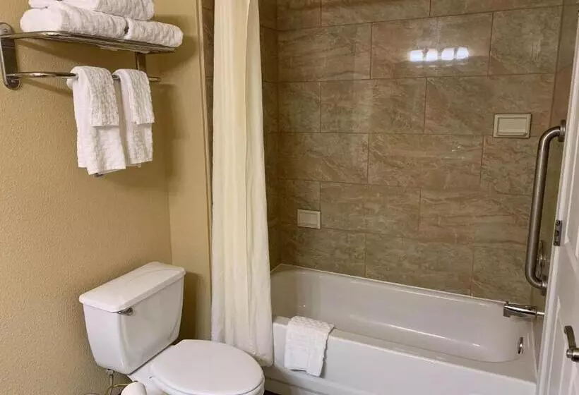 اتاق استاندارد با تخت بزرگ, Comfort Inn Saint Paul East