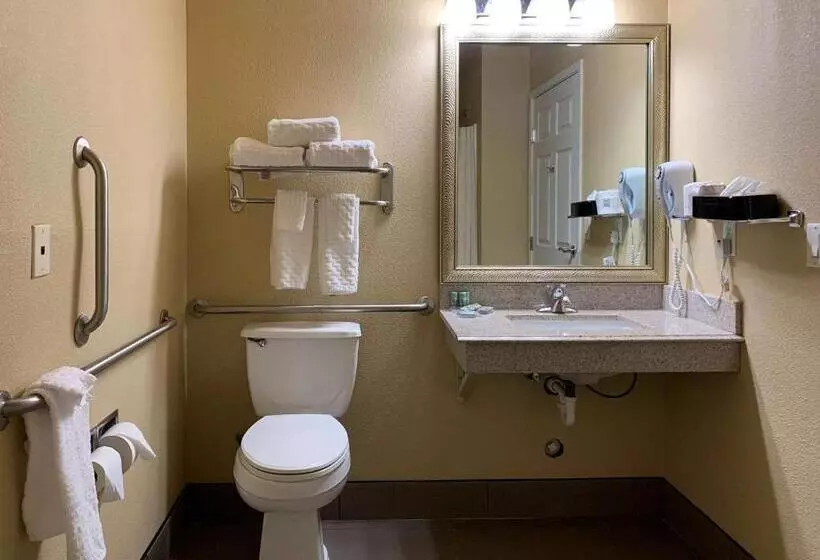 اتاق استاندارد با تخت بزرگ برای معلولان, Comfort Inn Saint Paul East