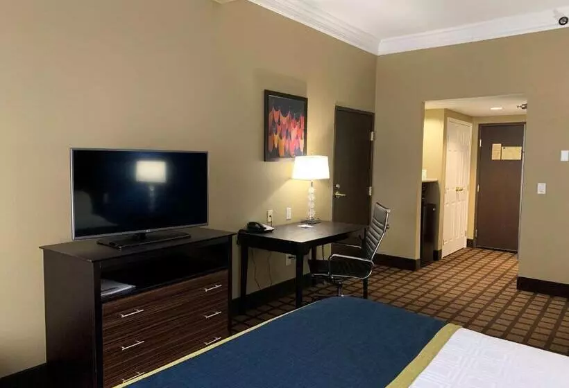 اتاق استاندارد با تخت بزرگ برای معلولان, Comfort Inn Saint Paul East