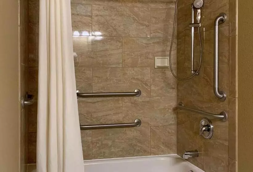 اتاق استاندارد برای معلولان, Comfort Inn Saint Paul East