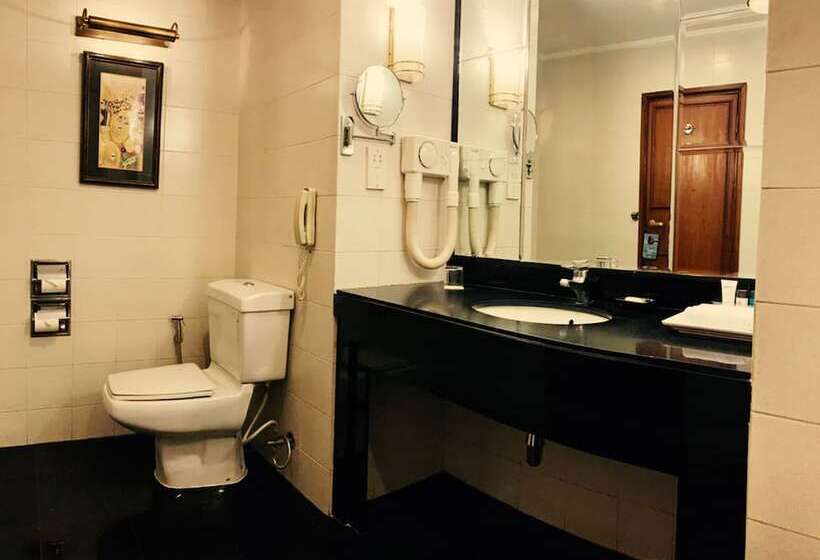 اتاق کلاس بیزنس, Radisson Hotel Kathmandu