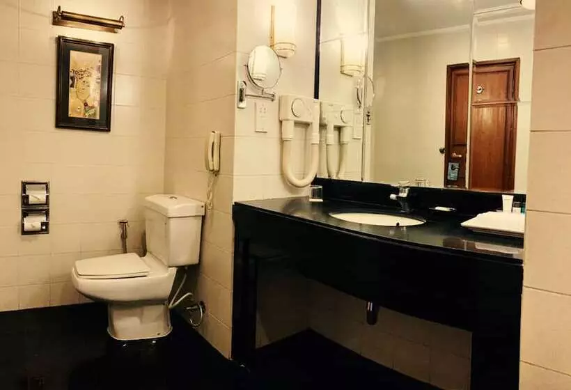 ビジネスルーム, Radisson Hotel Kathmandu