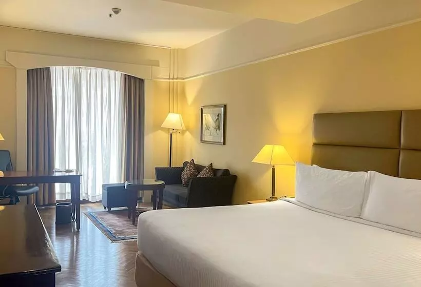 ビジネスルーム, Radisson Hotel Kathmandu