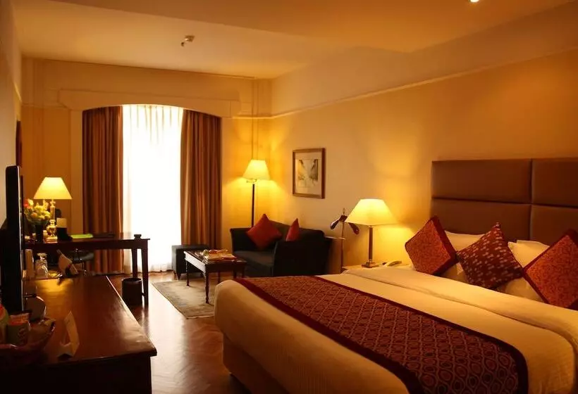 ビジネスルーム, Radisson Hotel Kathmandu
