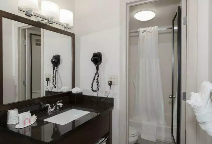 اتاق استاندارد برای معلولان, Ramada By Wyndham Boston