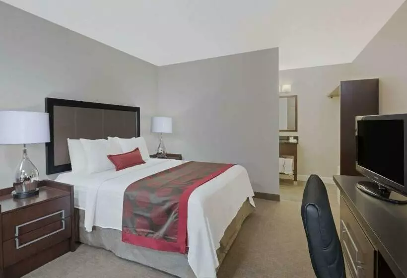 اتاق استاندارد برای معلولان, Ramada By Wyndham Boston