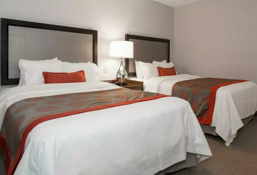 اتاق استاندارد با 2 تخت دوبل, Ramada By Wyndham Boston