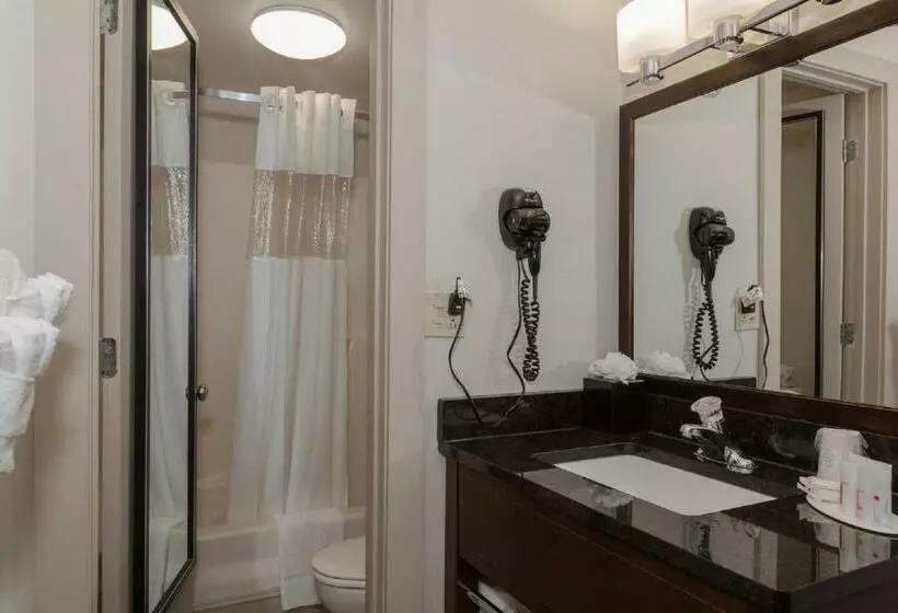 اتاق استاندارد با 2 تخت دوبل, Ramada By Wyndham Boston