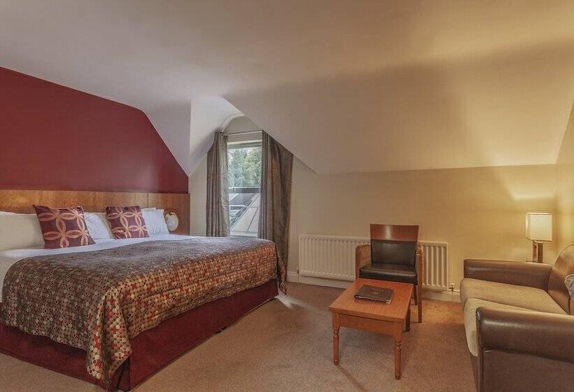 غرفة سوبيريور, Silverbirch