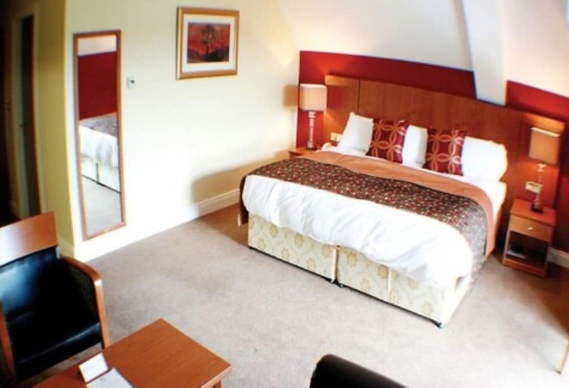 غرفة سوبيريور, Silverbirch