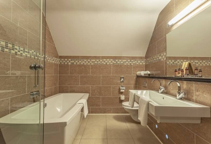 غرفة قياسية, Silverbirch