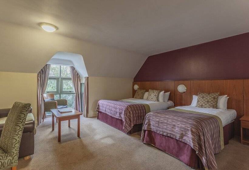 غرفة قياسية, Silverbirch