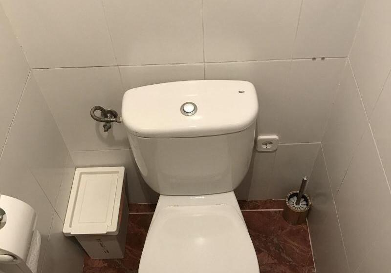 غرفة قياسية, Silverbirch