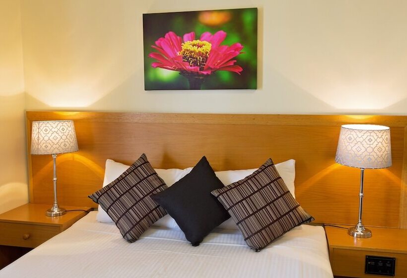 اتاق خانوادگی, White Lace Motor Inn