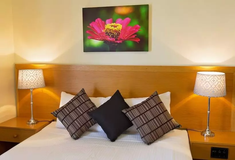اتاق خانوادگی, White Lace Motor Inn