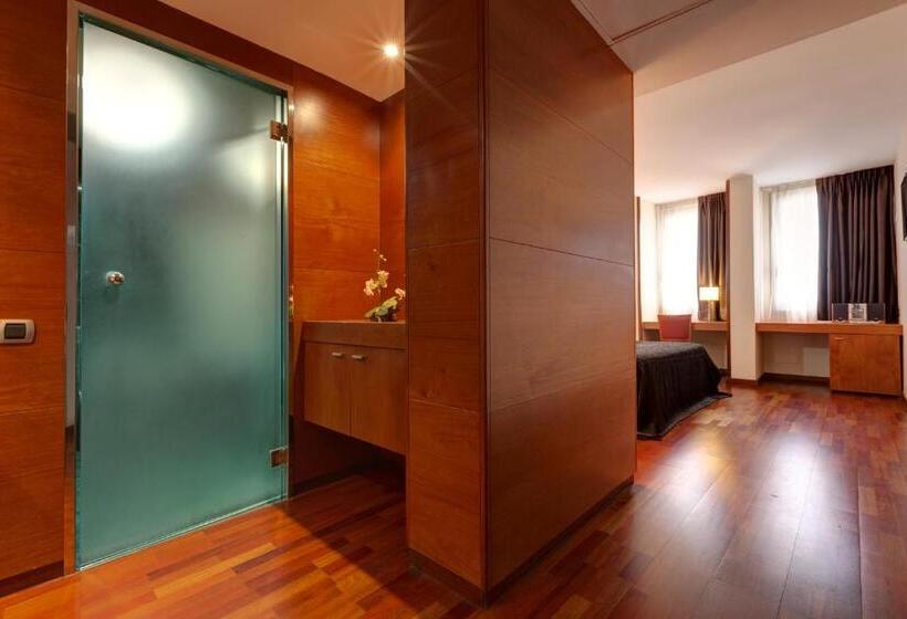 اتاق بزرگ با دسترسی به اسپا, Acevi Villarroel