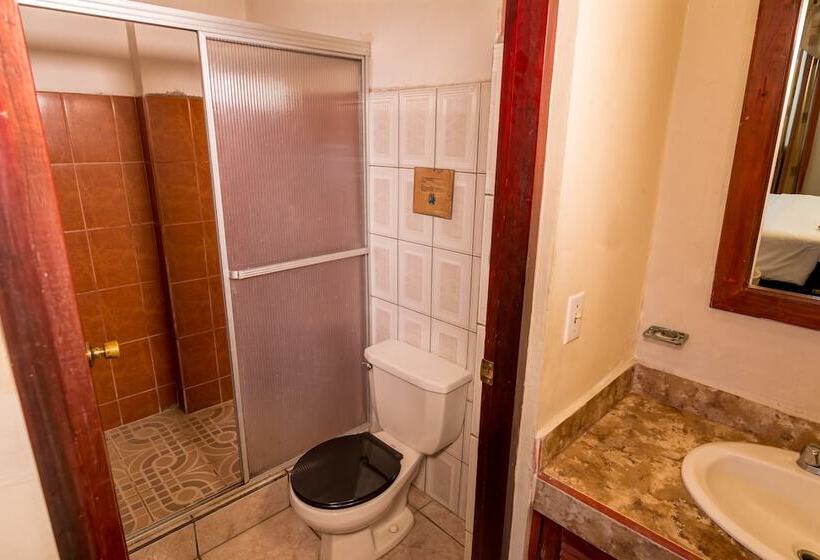 Номер Стандарт, Amón Real Costa Rica