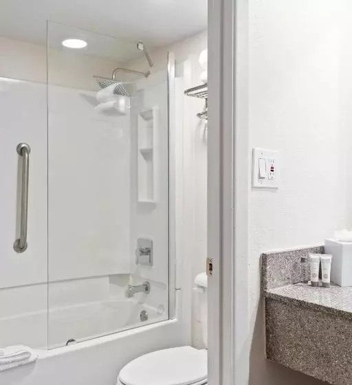 اتاق استاندارد با تخت بزرگ برای معلولان, Baymont by Wyndham Orlando Lake Buena Vista South