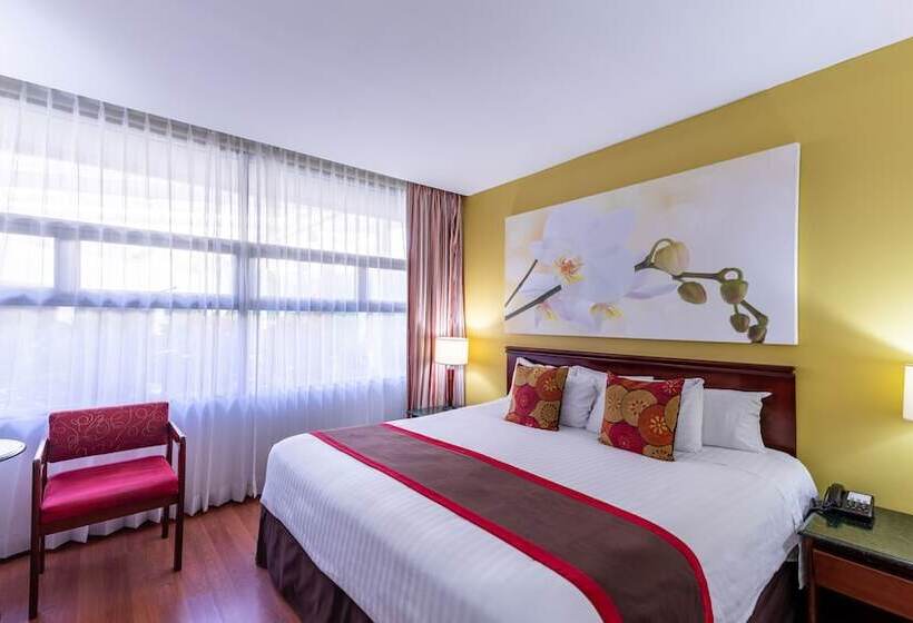 Номер Стандарт, Palma Real