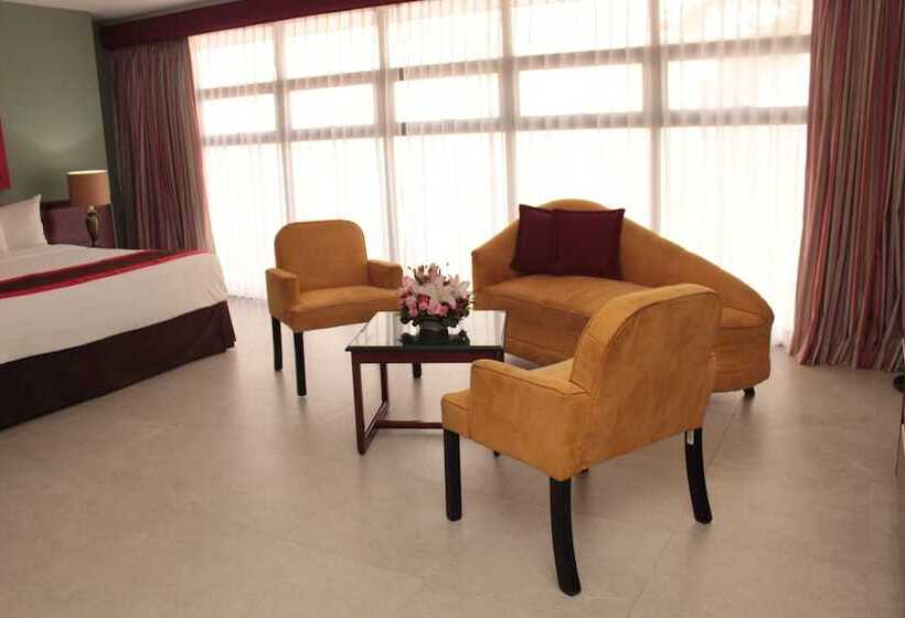 Полулюкс, Palma Real