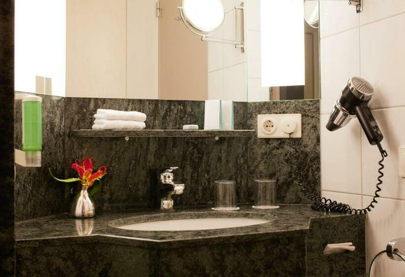 带大床的经典房间, Movenpick S Hertogenbosch