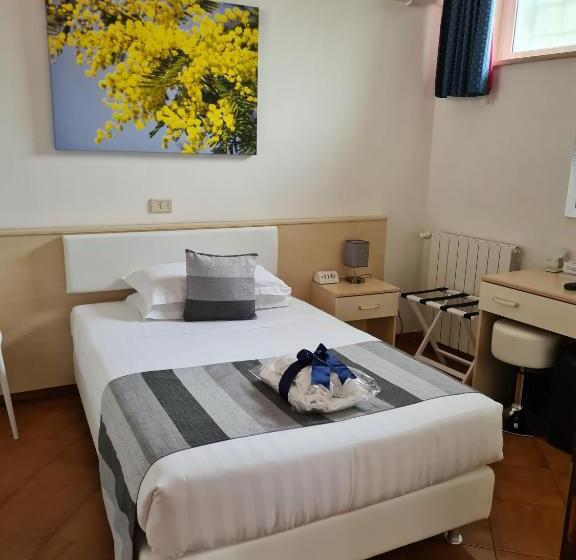 اتاق استاندارد یک نفره, Albis Rooms Guest House