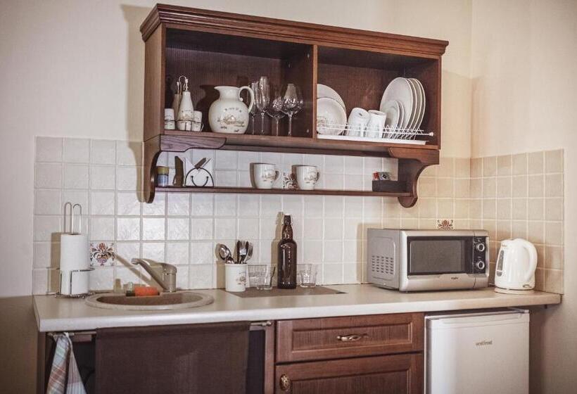 جناح جونيور عائلى, Ekaterinoslav