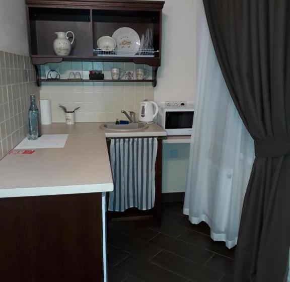 شقة سوبريور غرفة واحدة, Ekaterinoslav