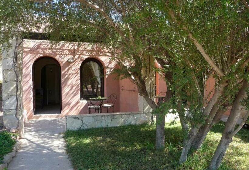 Pokój Standard, Paradis Nomade