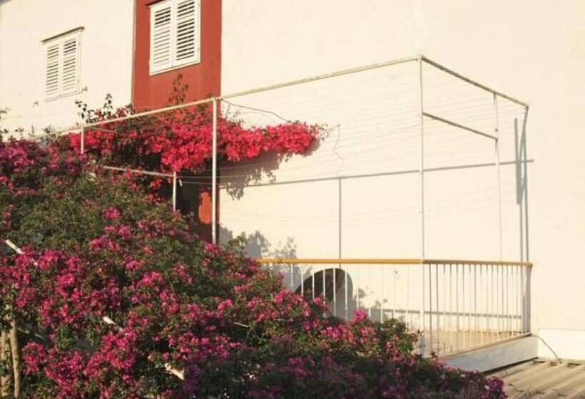 اتاق استاندارد با چشمانداز دریا, Rooms Vinka Tudor