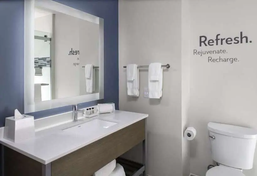 身障者適用スタンダードルーム, Even Hotels Shenandoah The Woodlands, An Ihg