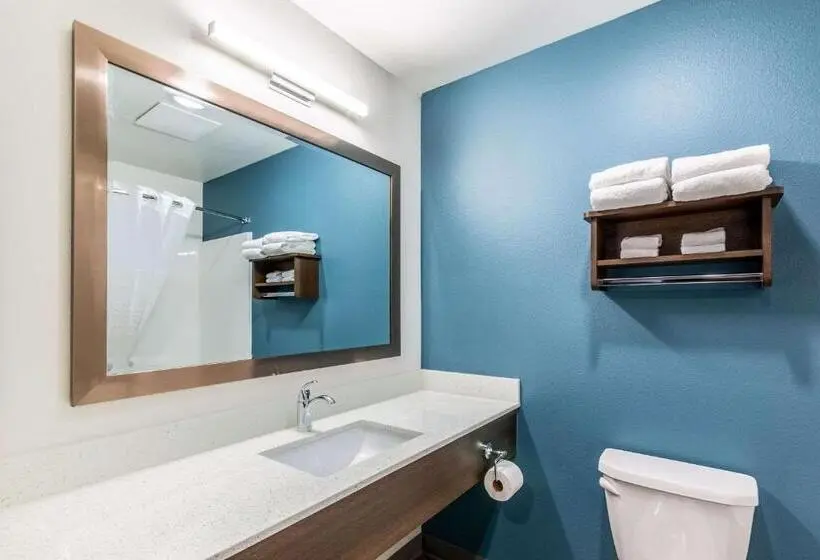 اتاق استاندارد با 2 تخت دوبل, Woodspring Suites Indianapolis Airport South