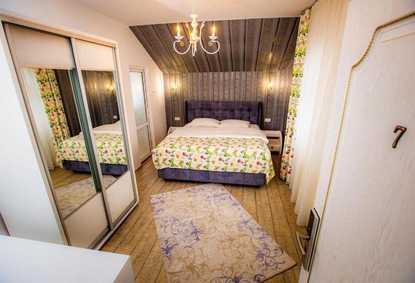 Номер Стандарт Вид на Горы, Pensiunea Nicolas