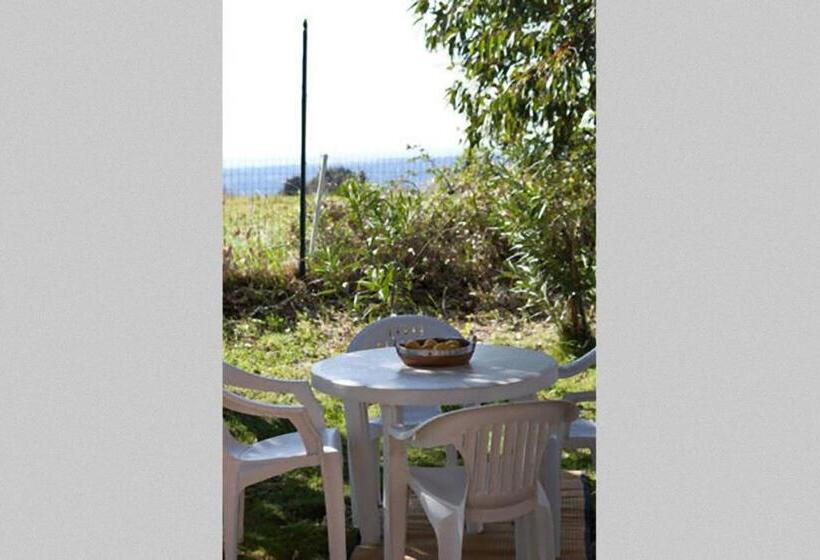 带海景的标准工作室, Agriturismo Antico Podere Il Polveraio