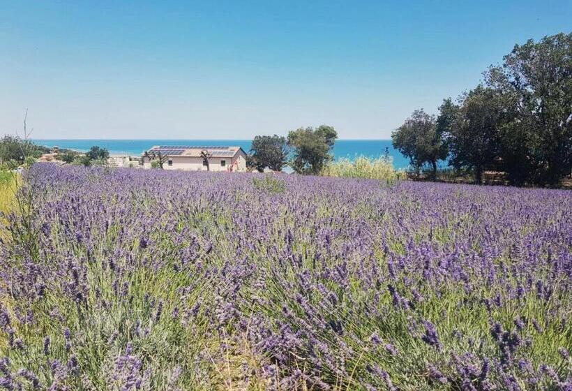 اتاق لوکس, Agriturismo Il Colle Dei Lecci