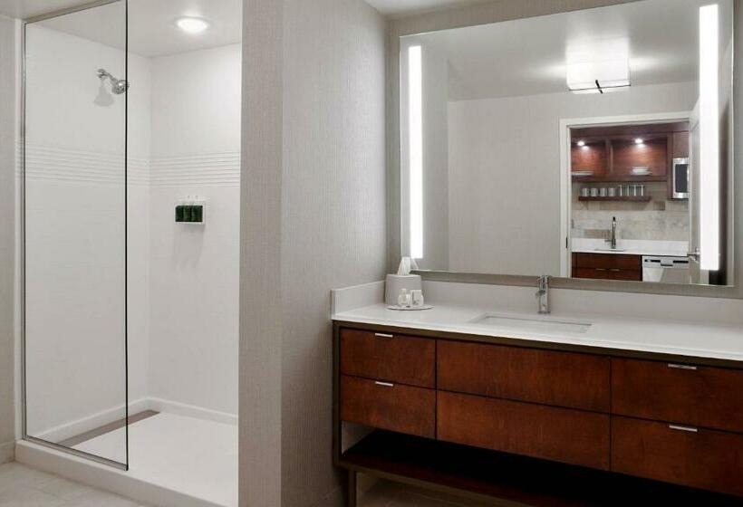 带大床的标准工作室, Towneplace Suites By Marriott Orlando Downtown