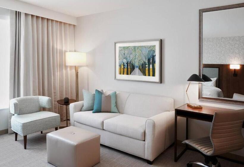 带大床的标准工作室, Towneplace Suites By Marriott Orlando Downtown