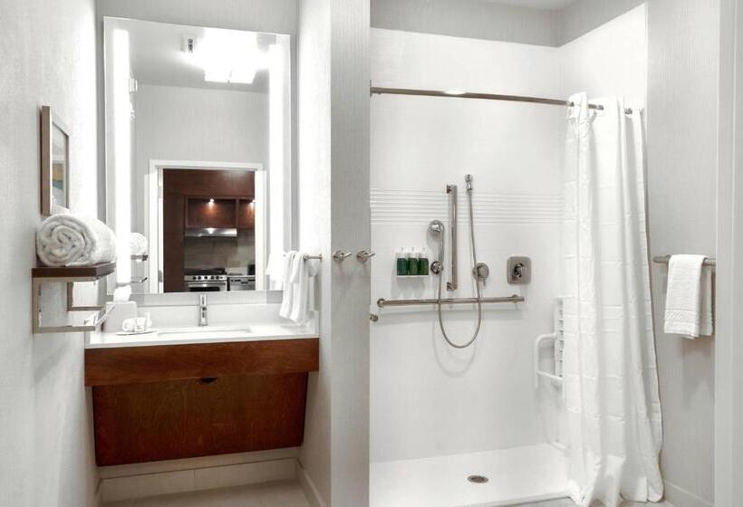 标准工作室, Towneplace Suites By Marriott Orlando Downtown