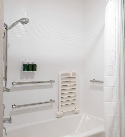 带大床的套房, Towneplace Suites By Marriott Orlando Downtown