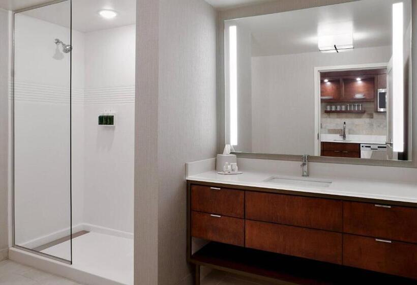 带大床的套房, Towneplace Suites By Marriott Orlando Downtown