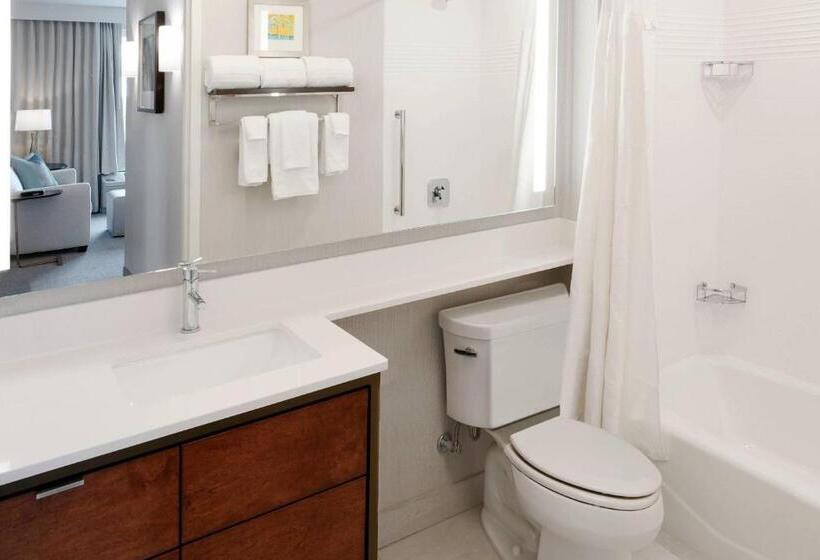 带大床的套房, Towneplace Suites By Marriott Orlando Downtown