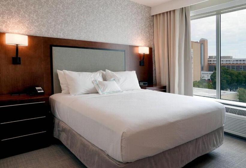 带2个卧室的套房, Towneplace Suites By Marriott Orlando Downtown